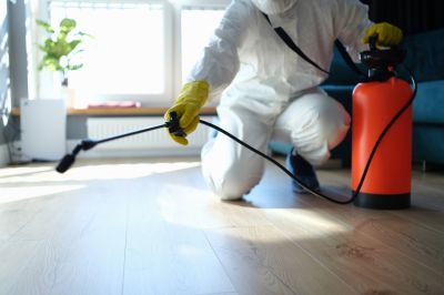 Commercial Pest Control in Katy, TX