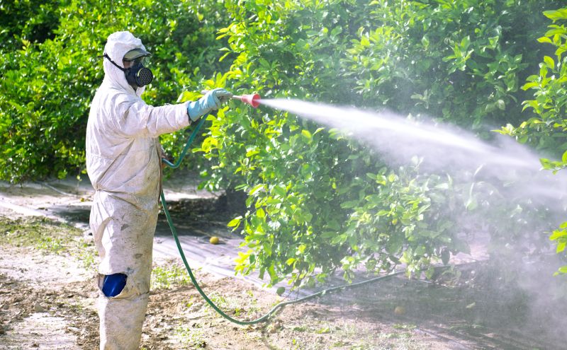 Fumigation Service in Katy, TX