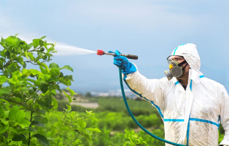 Fumigation Service in Clarksville, TN