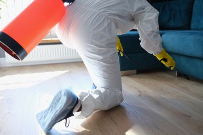 Pest Fumigation Service in Bellingham, WA