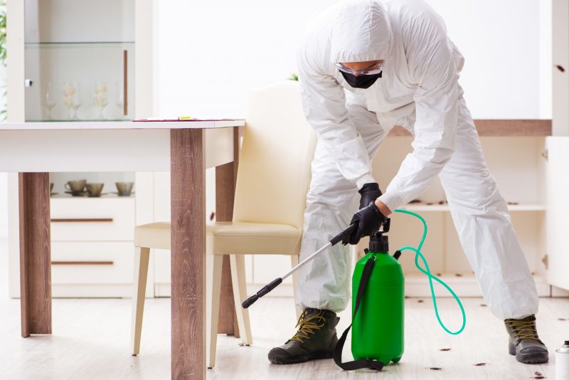 Products For Wood Pest Inspections in use