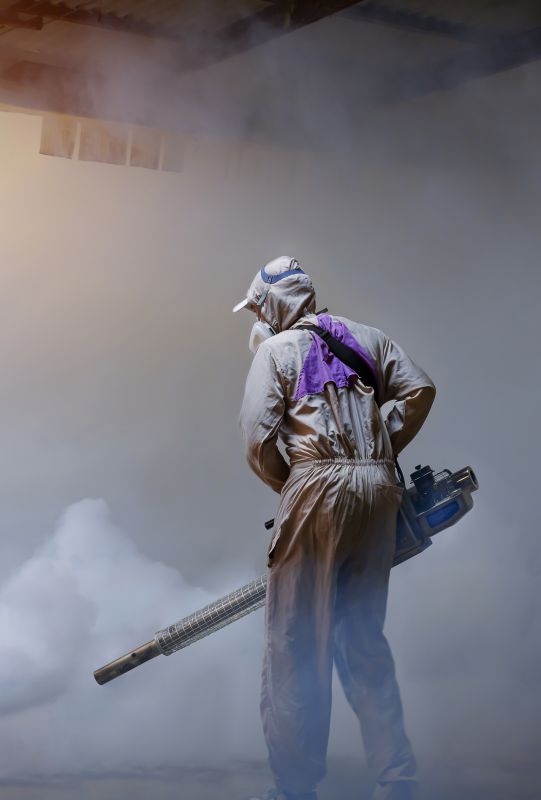 Spider Fumigation Service in Marietta, GA