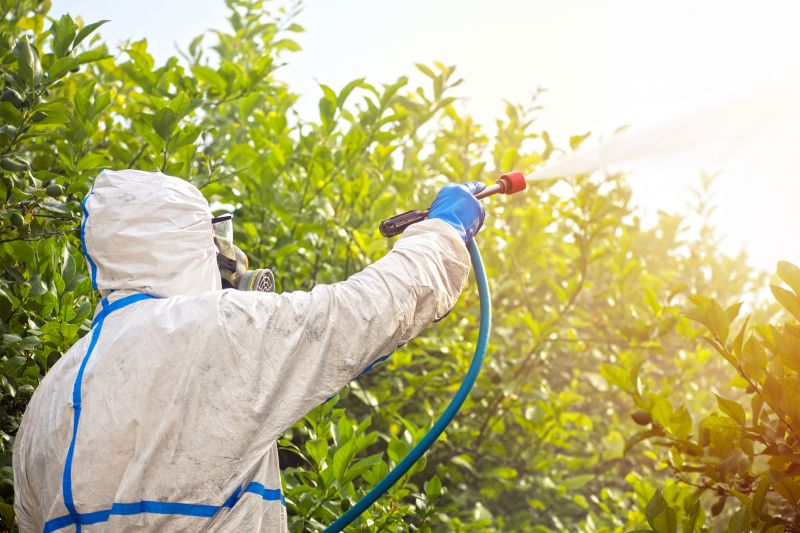Spider Fumigation Service in Asheville, NC