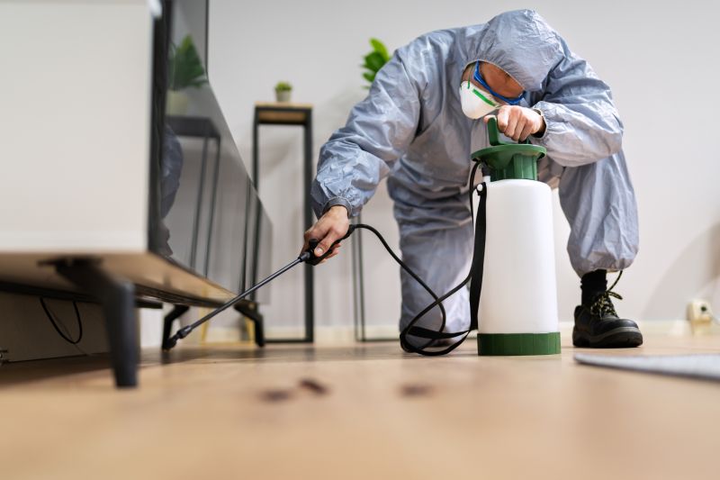 Spider Fumigation Service in Wilmington, DE