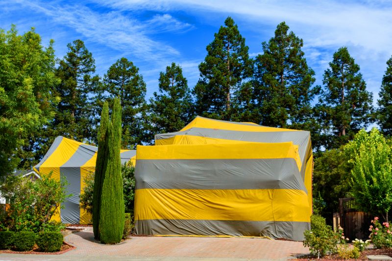 Tent Fumigation in Tampa, FL