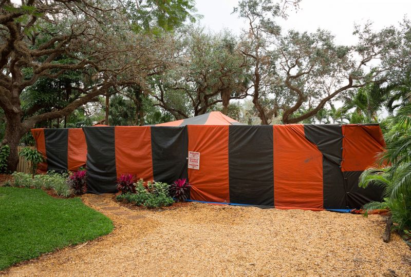 Termite Tenting in Fort Collins, CO