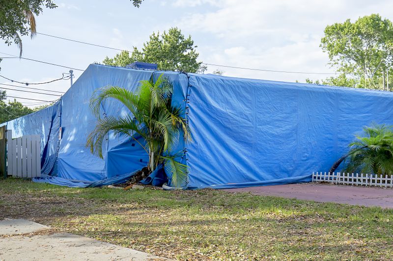 Termite Tenting in Wilmington, DE