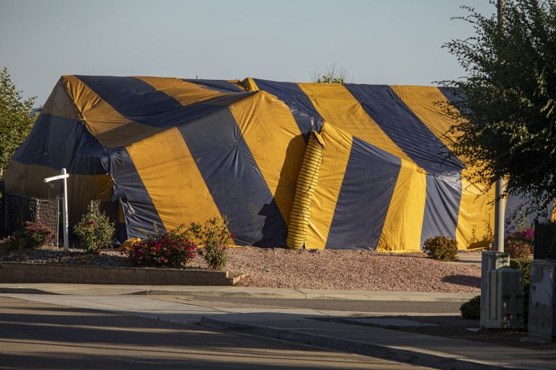 Termite Tenting in Woodbridge, VA